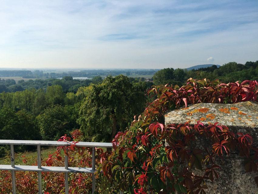 Hotel Schloss Leitheim المظهر الخارجي الصورة